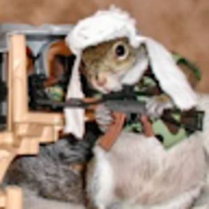 Meet your Posher, Rhett